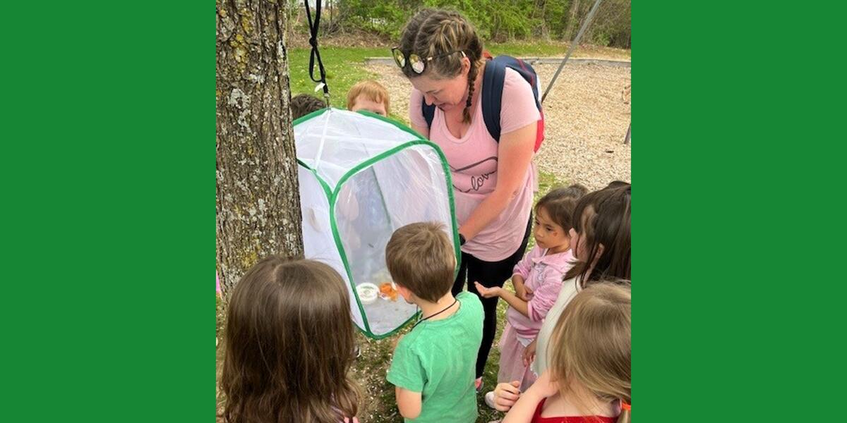 Nottingham West Elementary PTO helps preschool students observe butterfly life cycles! 
